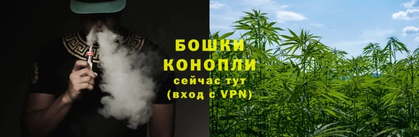 индика Нефтекумск